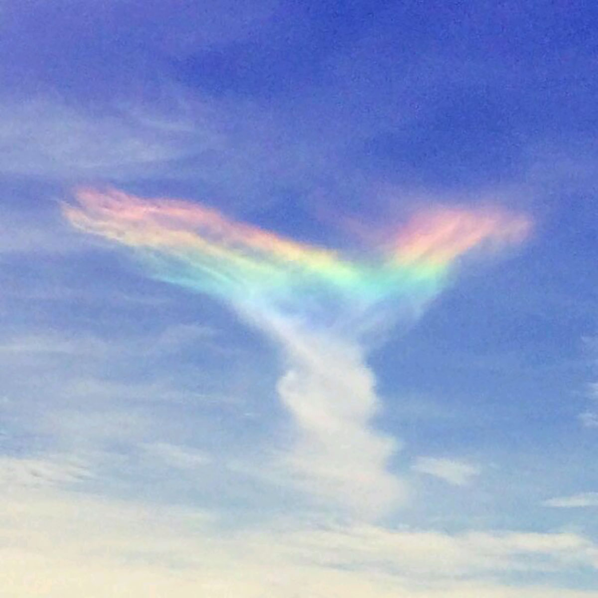 [H3] 雅導流 命運鑑定 乃愛