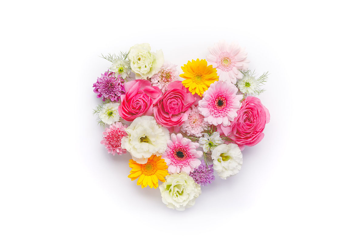 [H6] La Nature〜ラ・ナチュール〜